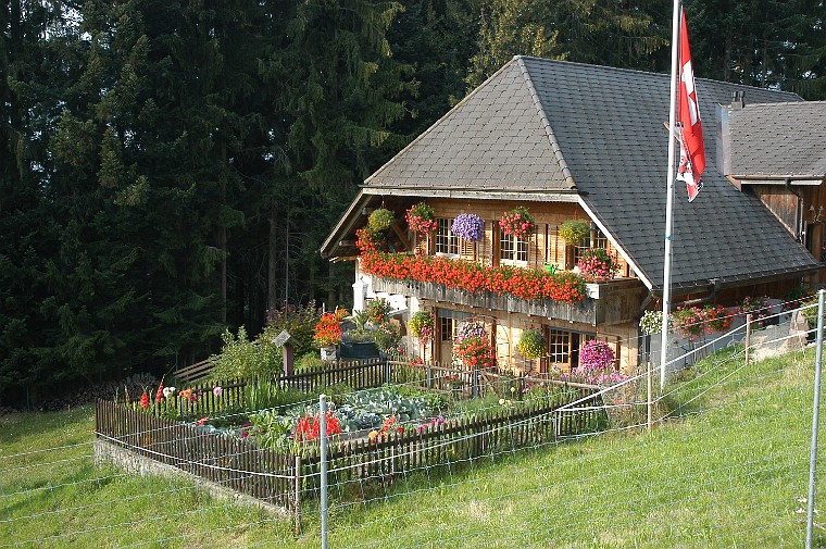 Die Blumenpracht auf der Heimenrueti